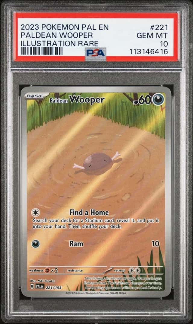 Paldean Wooper
