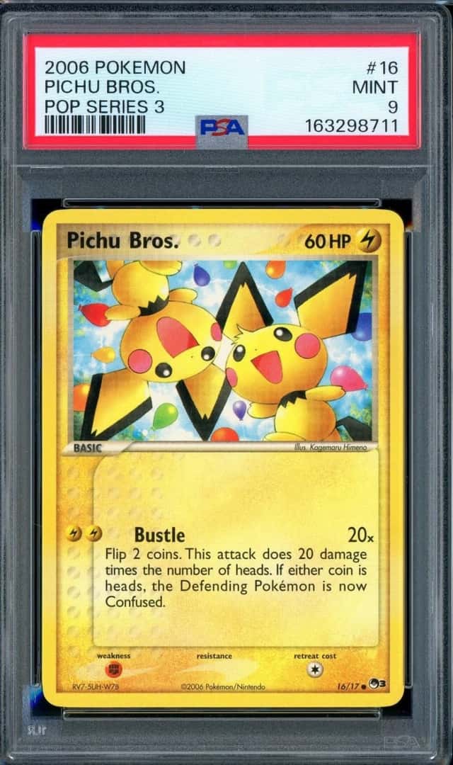 Pichu Bros