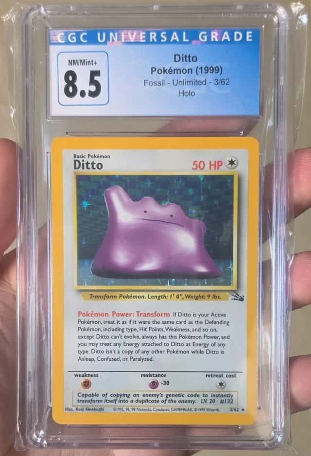 Ditto