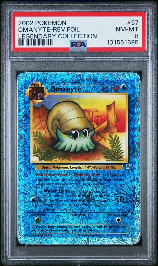 Omanyte