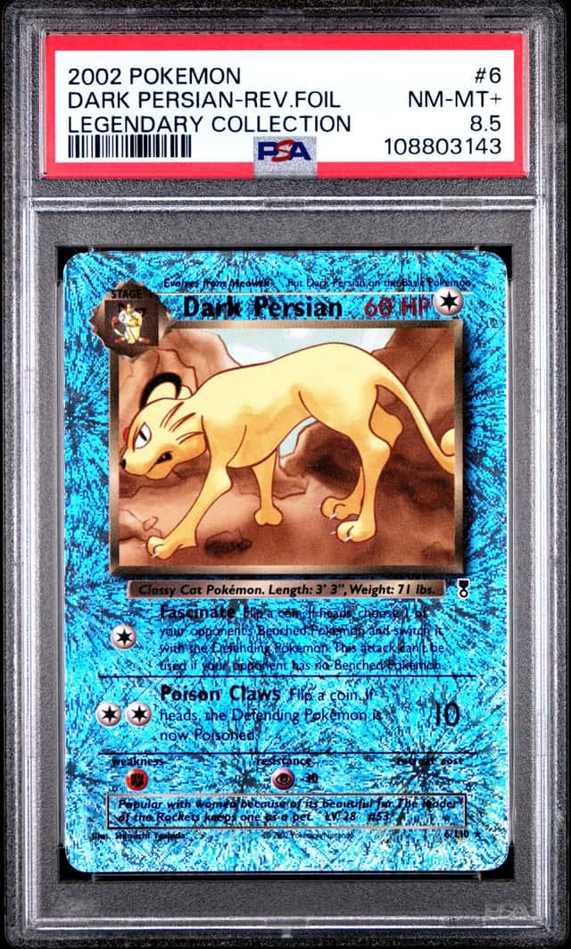Dark Persian