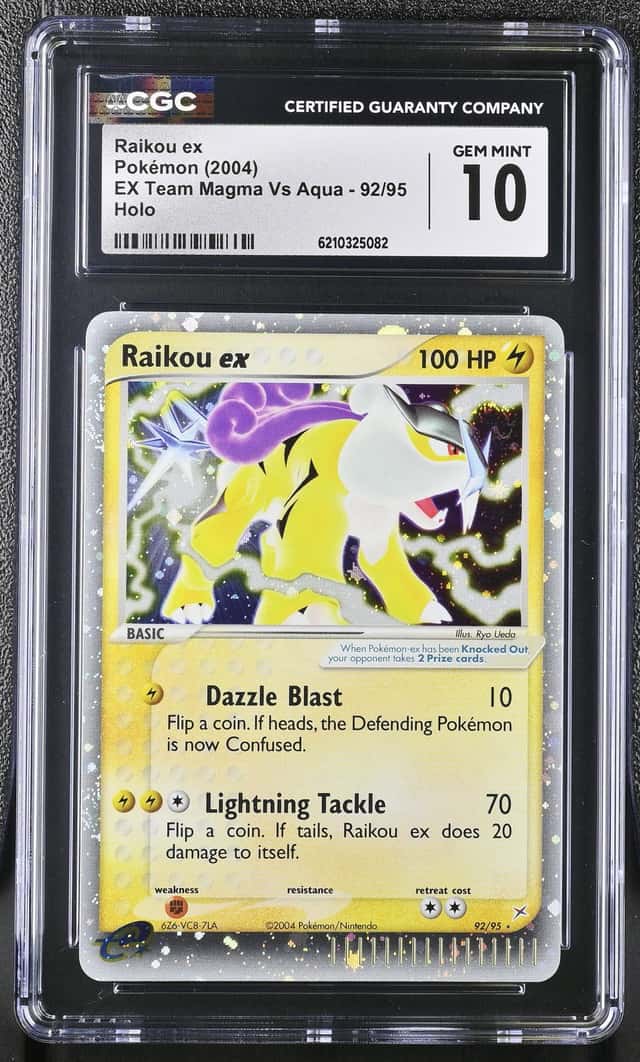 Raikou EX