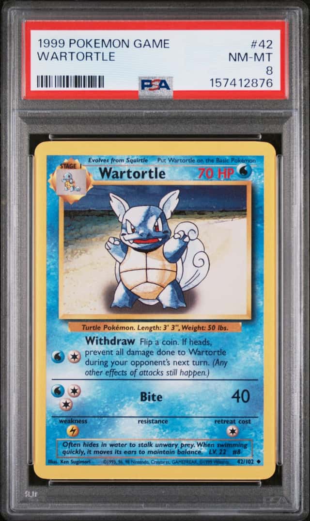 Wartortle