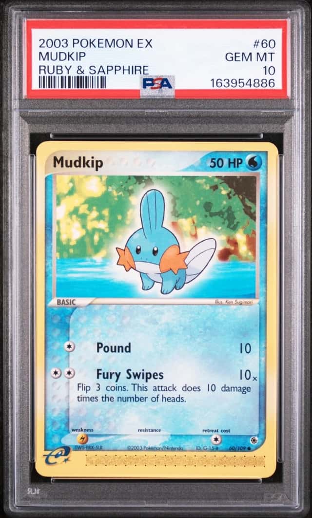 Mudkip