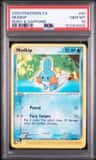 Mudkip