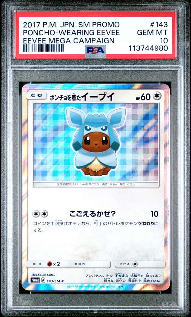 Poncho-Wearing Eevee