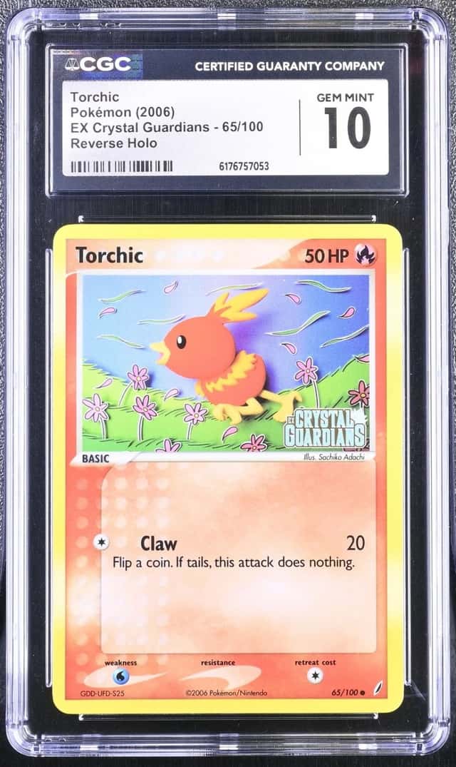 Torchic