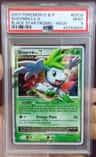 Shaymin Lv.x/(2009 Spring Collector'S Tins) P