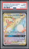 Raichu & Alolan Raichu Gx