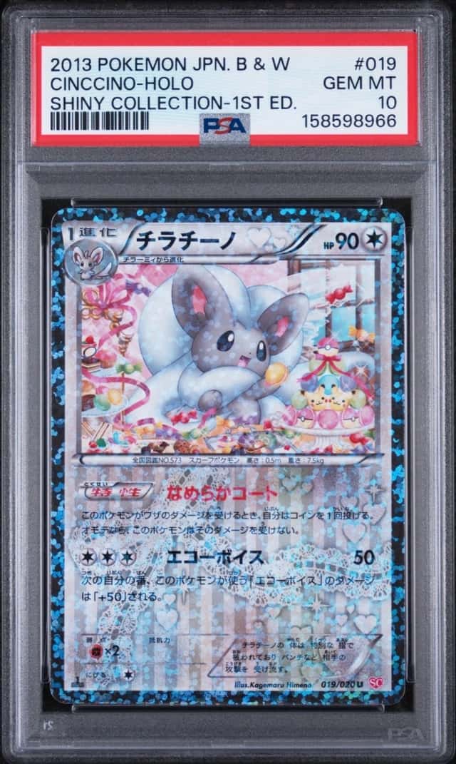 Cinccino