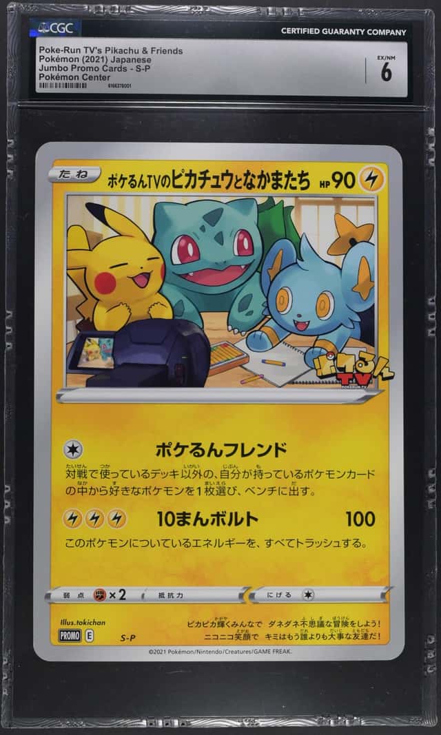 Poke-Run TV's Pikachu & Friends