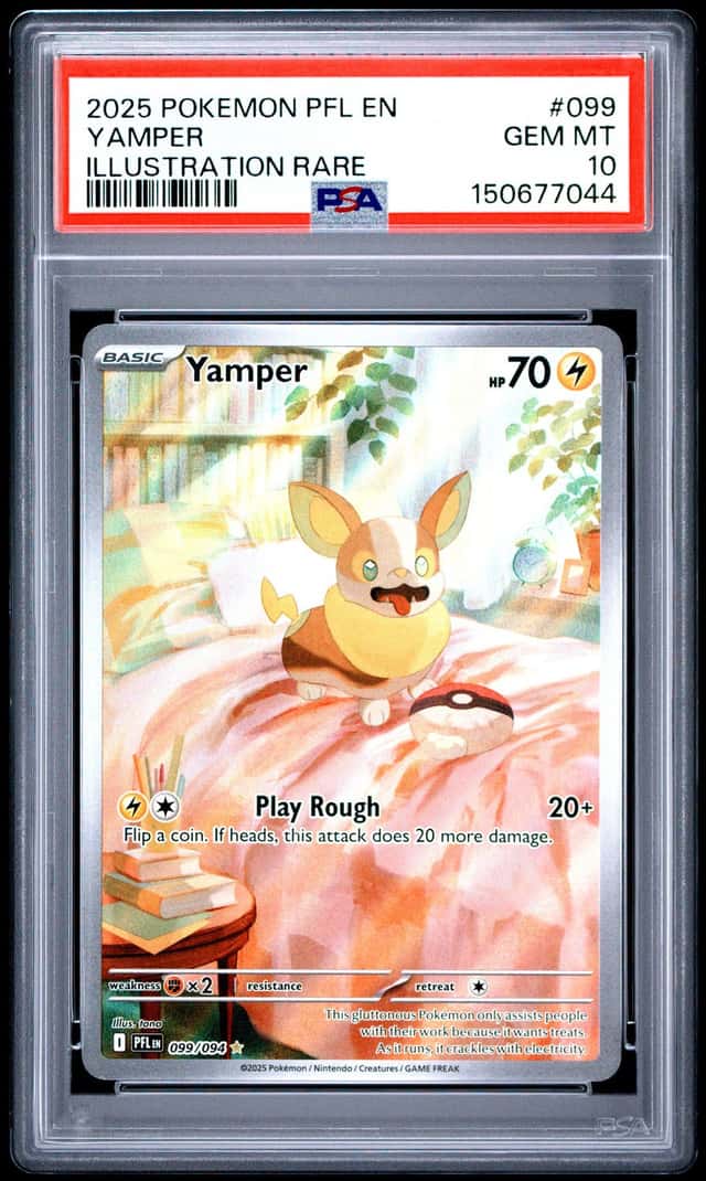 Yamper