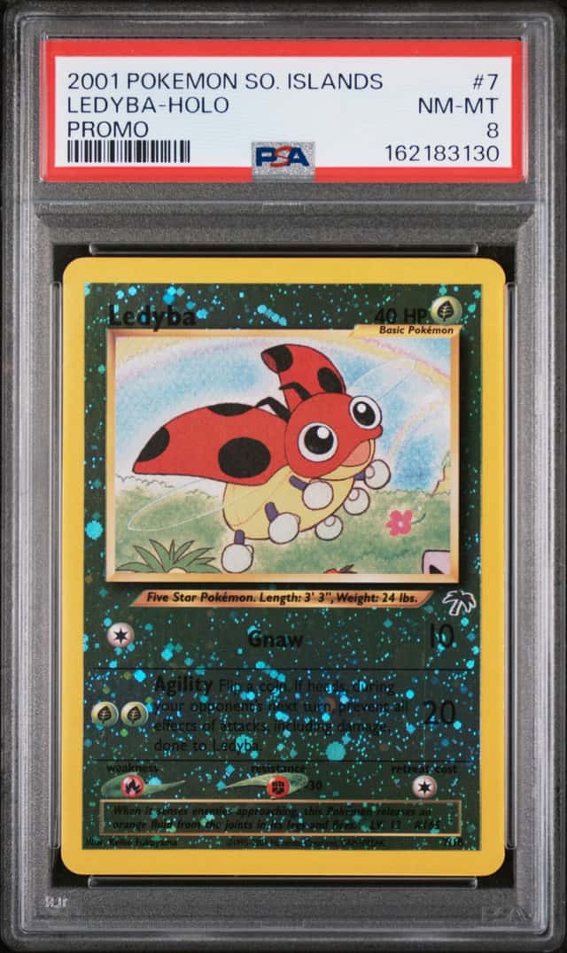 Ledyba