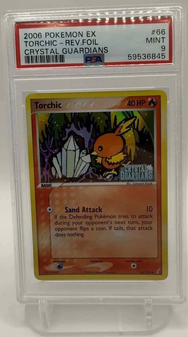 Torchic