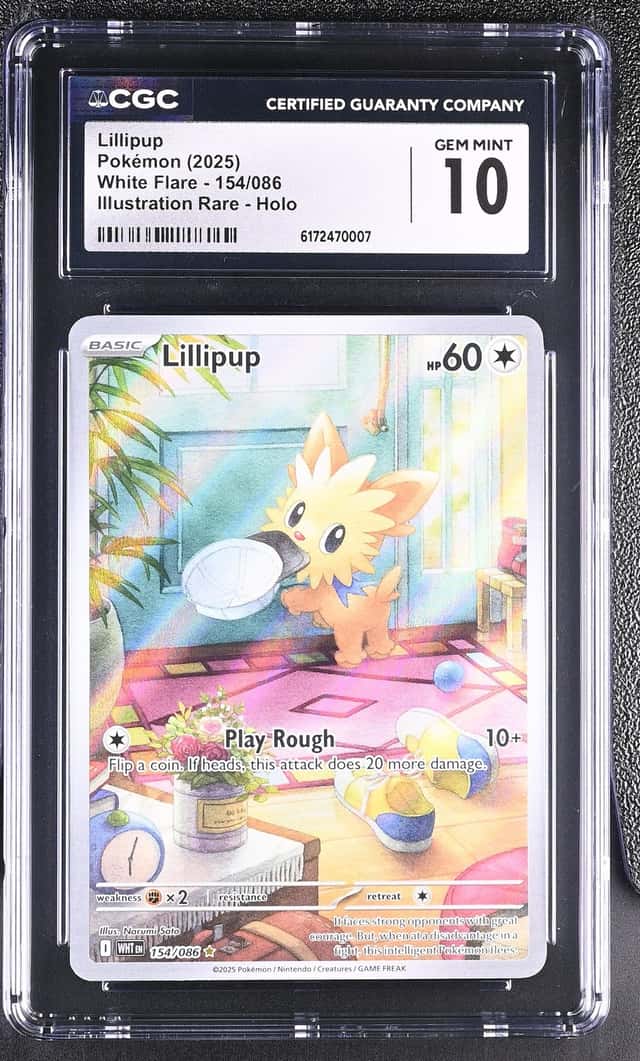 Lillipup