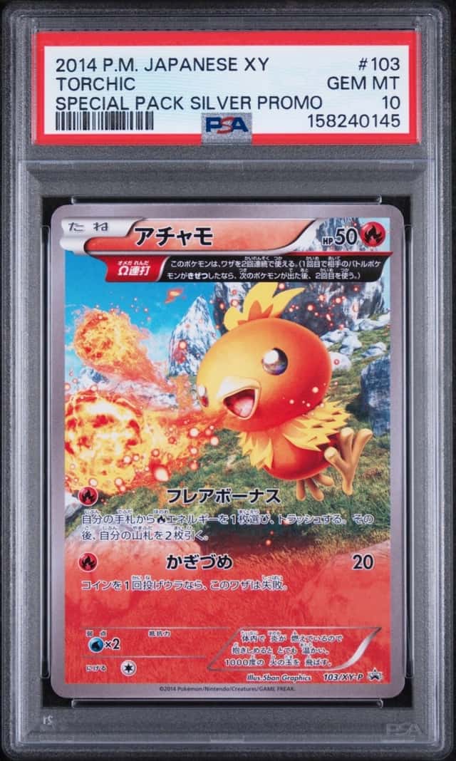 Torchic
