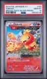 Torchic