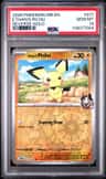 Ethan'S Pichu