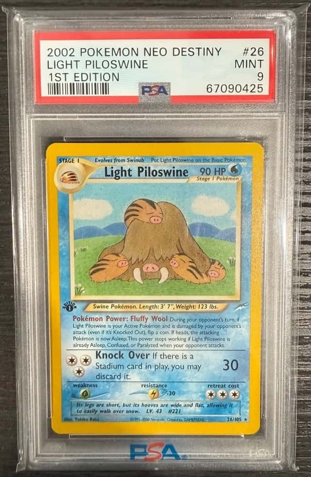 Light Piloswine