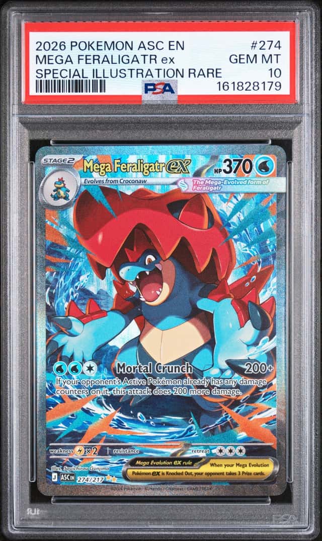 MEGA FERALIGATR ex