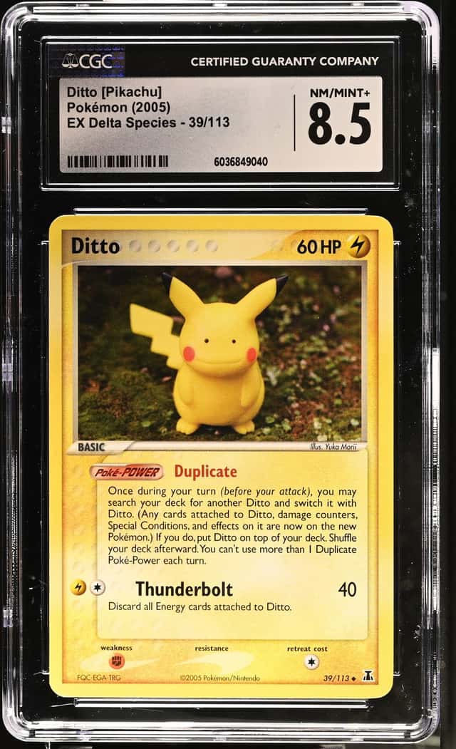 Ditto