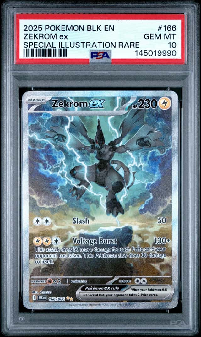ZEKROM ex