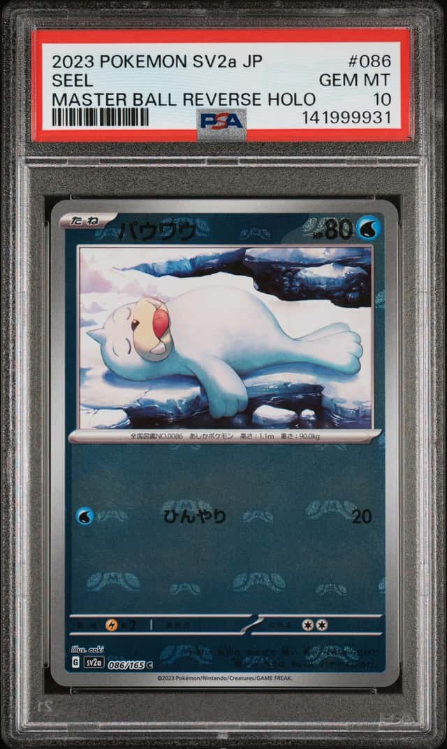 Seel