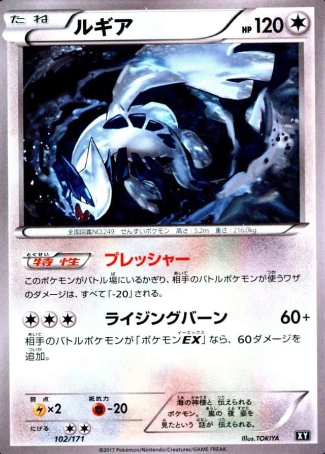 Holo