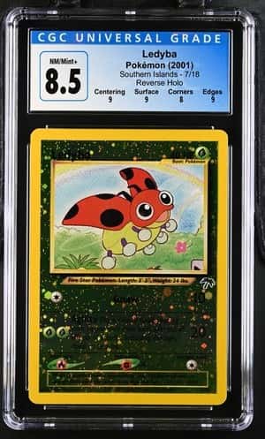 Ledyba