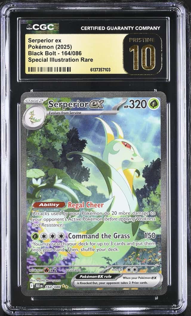 SERPERIOR ex
