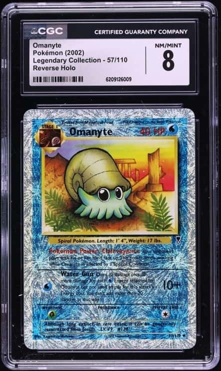 Omanyte