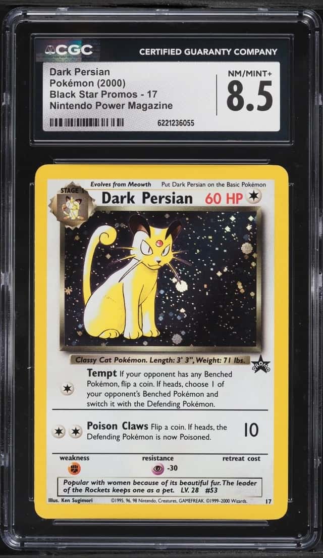 Dark Persian