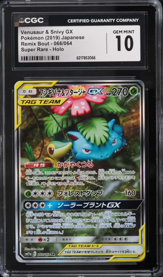 Venusaur & Snivy GX