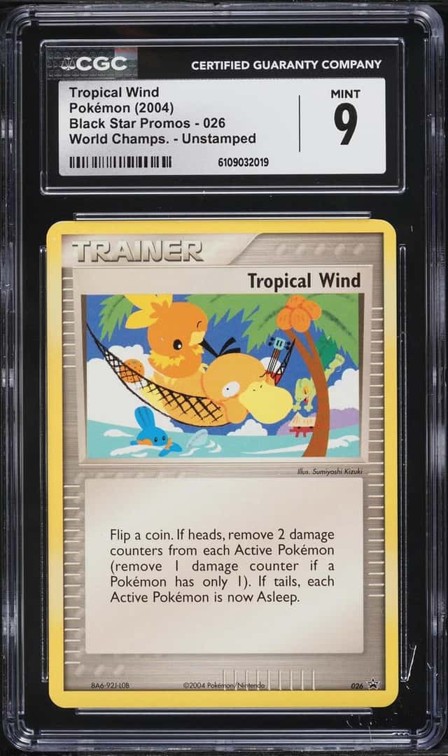 Tropical Wind