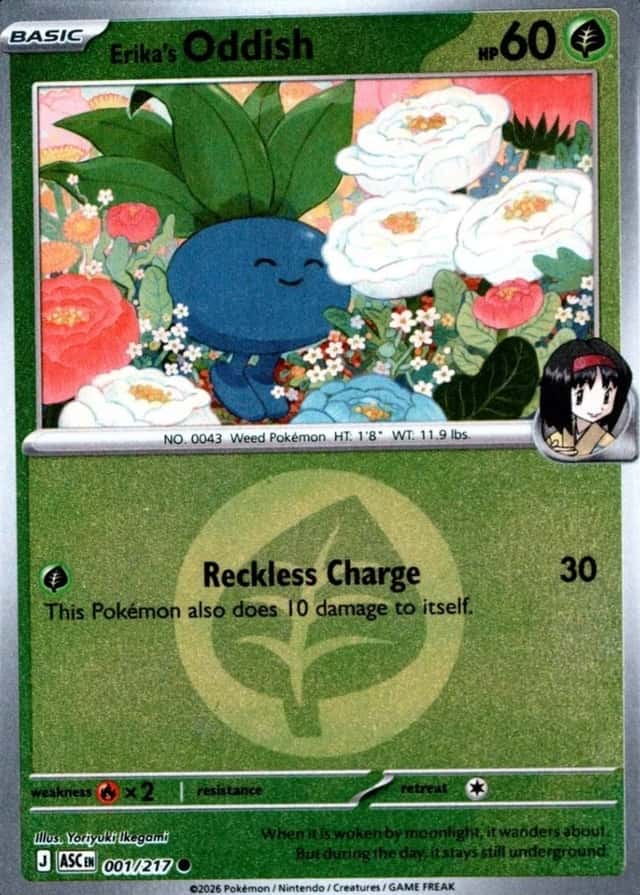 Reverse Holo