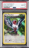 Swellow