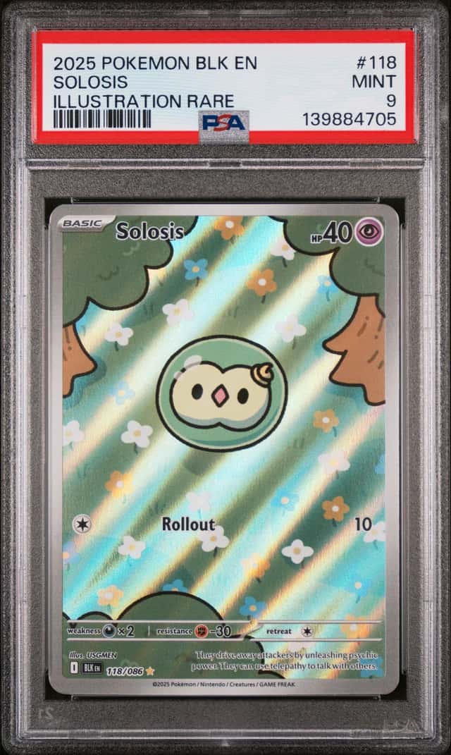 Solosis