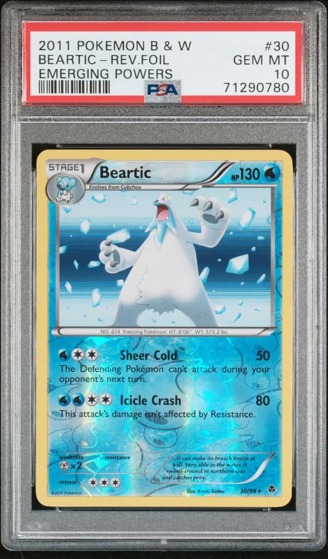 BEARTIC-REV.FOIL
