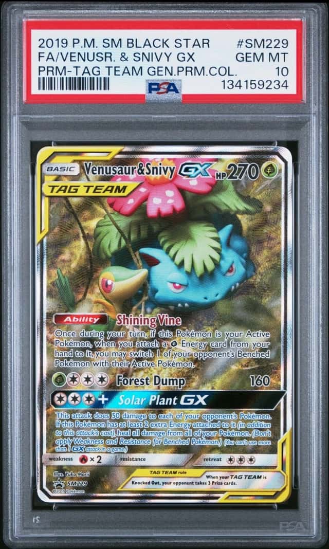Venusaur & Snivy GX