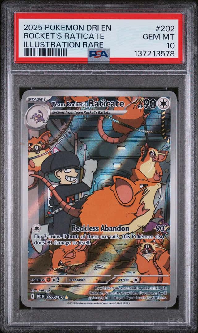 Rocket's Raticate