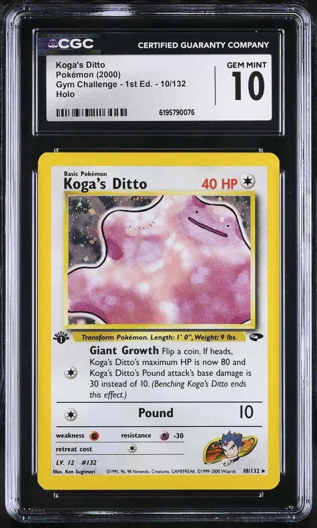 Koga's Ditto