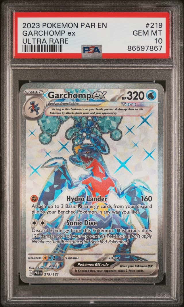 GARCHOMP ex