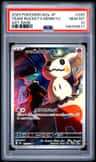 Team Rocket'S Mimikyu