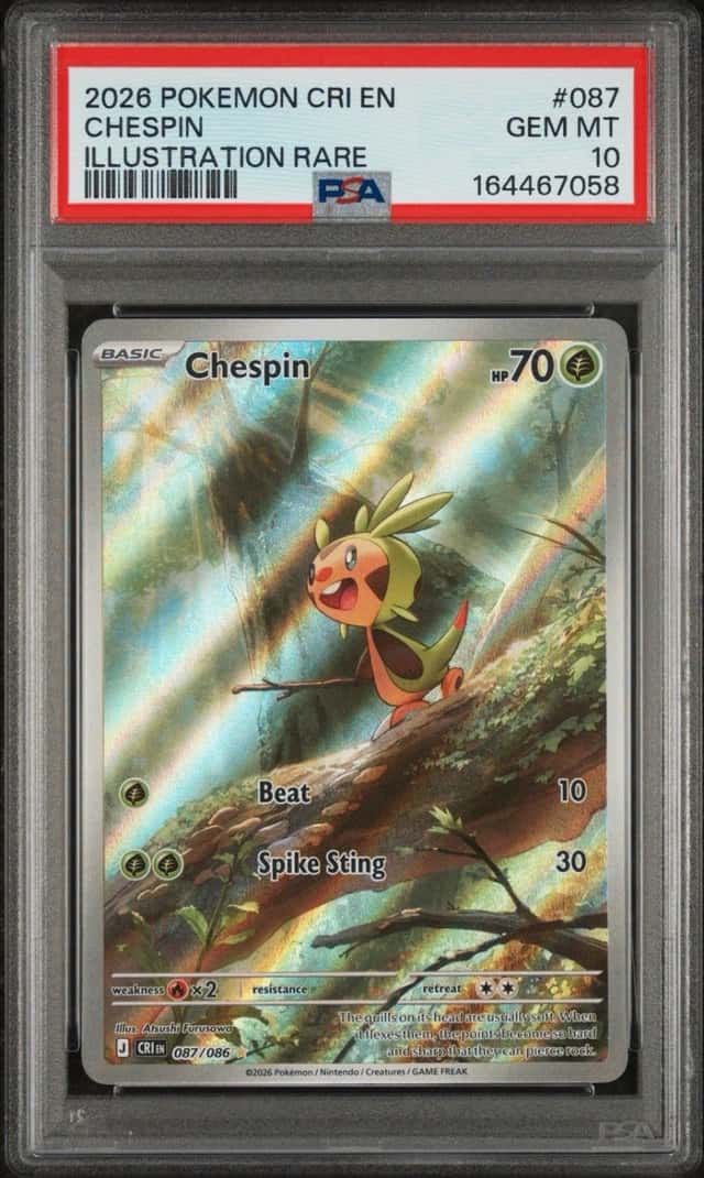 Chespin