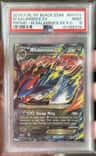 M Salamence Ex