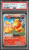 Torchic