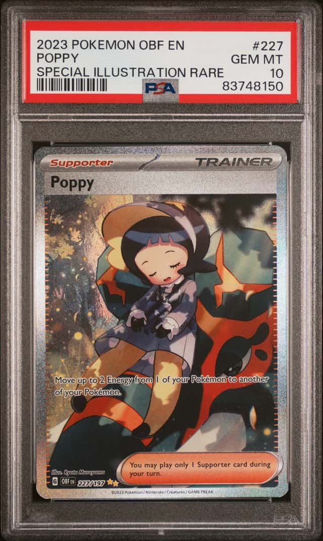 Poppy