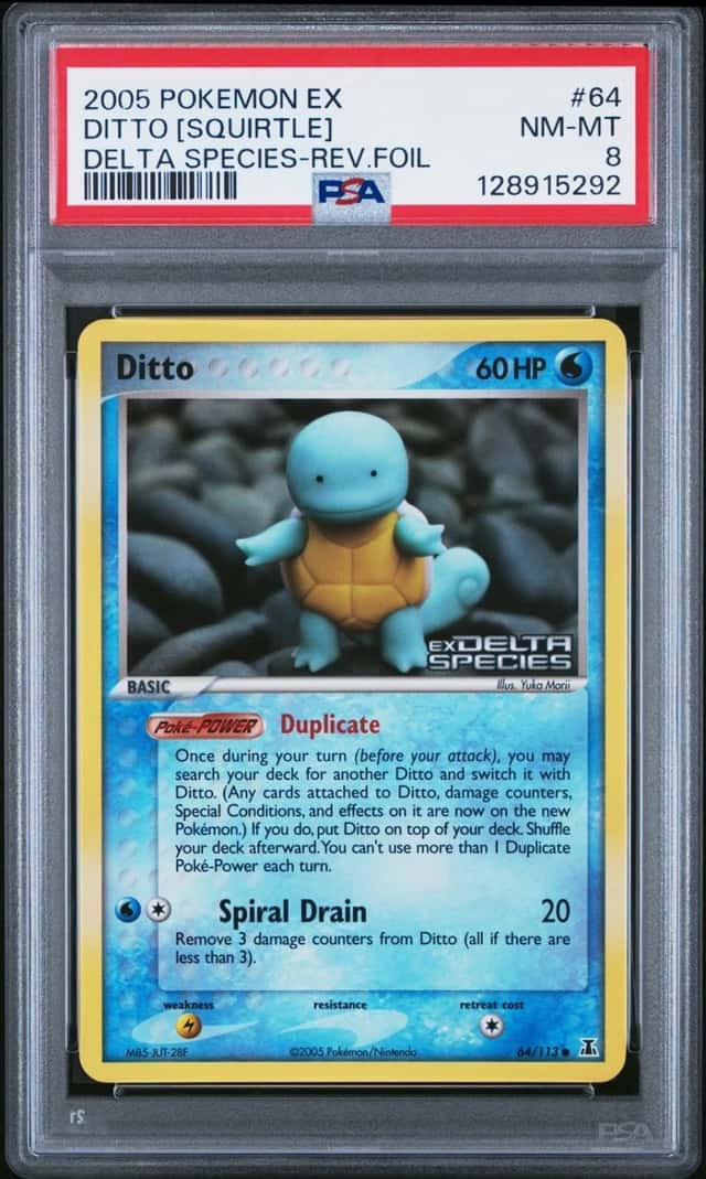 Ditto [Squirtle]