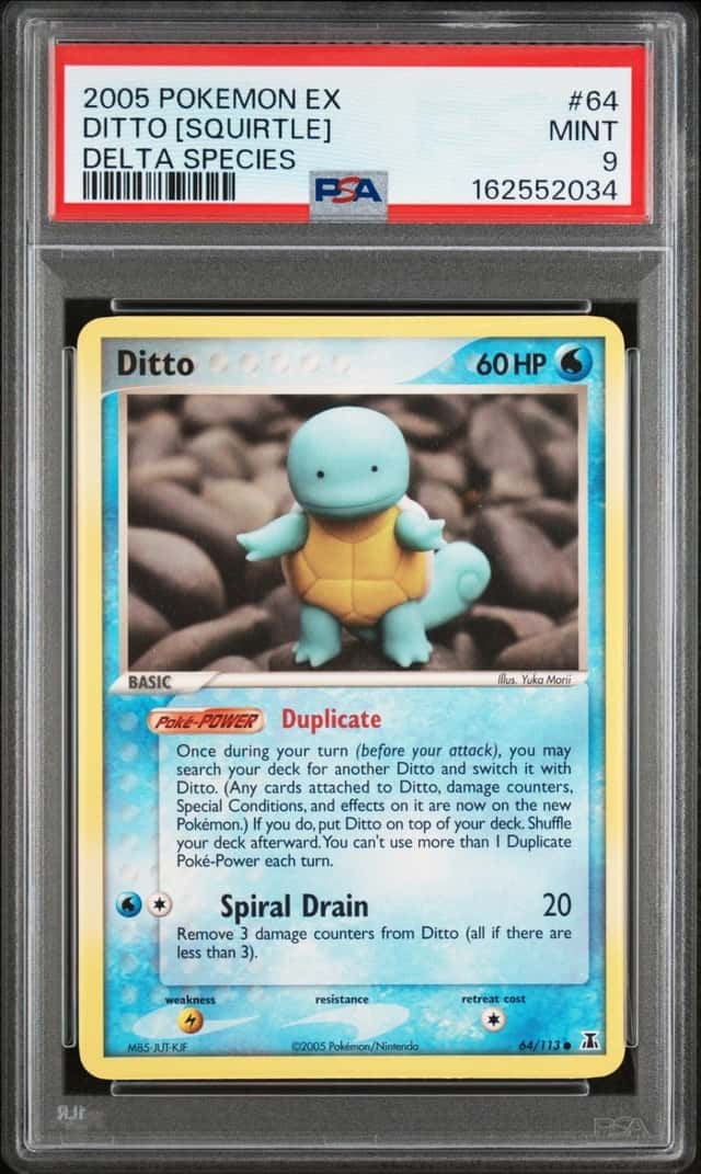 Ditto [Squirtle]