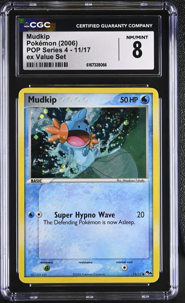 Mudkip